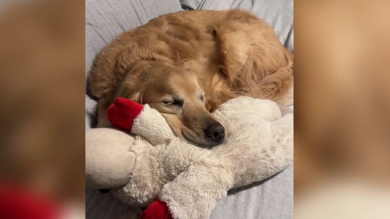 Running the distance for Dax