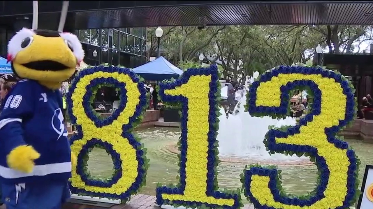 813 Day in Tampa