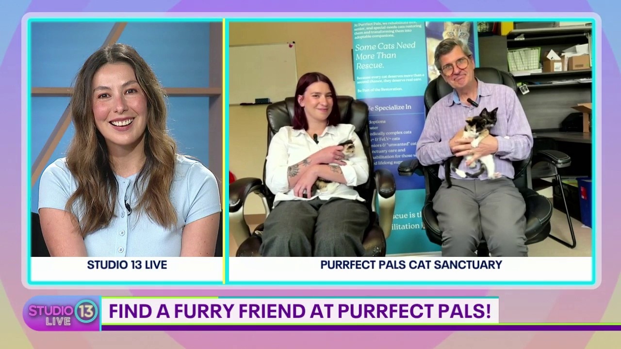 Purrfect Pals joins Studio 13 Live to talk about their cat sanctuary and adoption center