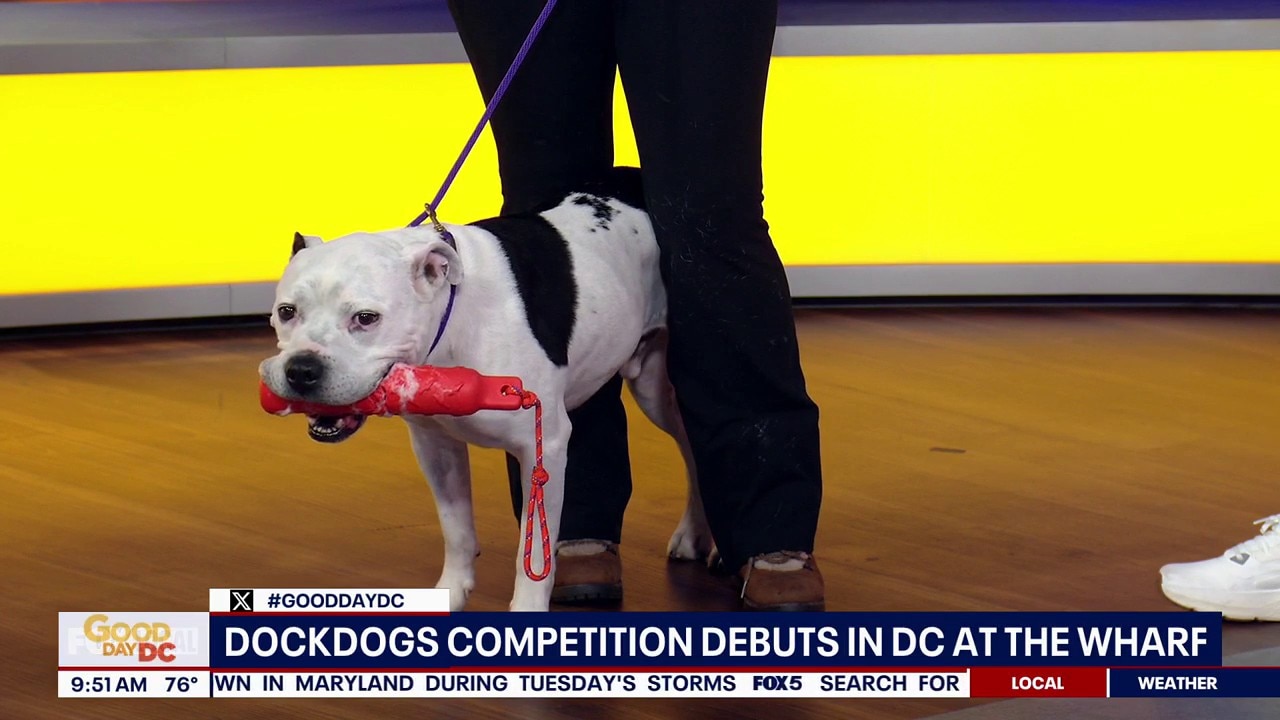 Dockdogs Competition Debuts In DC At The Wharf 