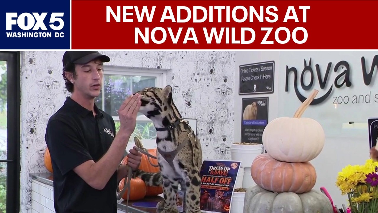 New additions at NoVa Wild Zoo and Safari Park in Virginia