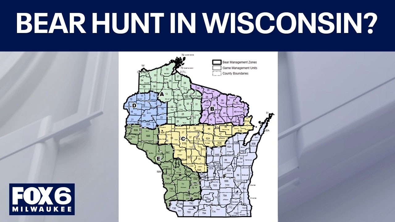 Wisconsin bear hunt begins Sept. 9; what you may not know