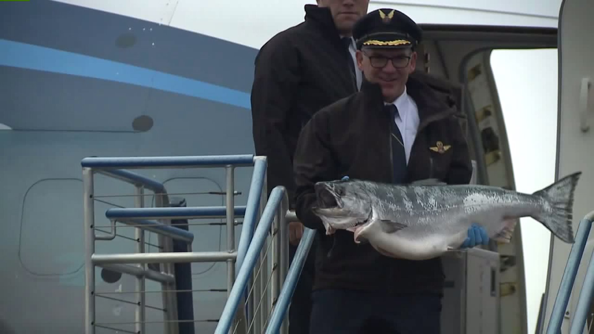 copper river salmon arrives