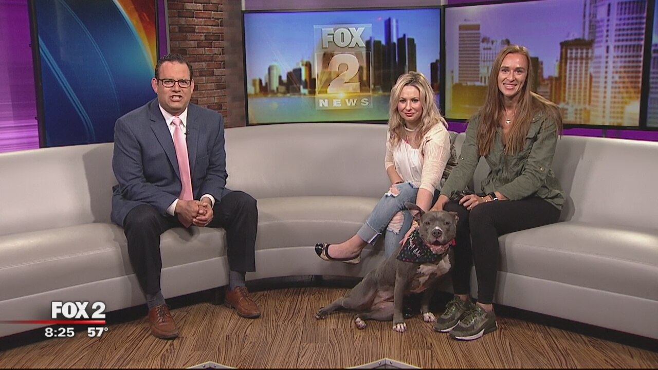 FOX 2 News Weekend