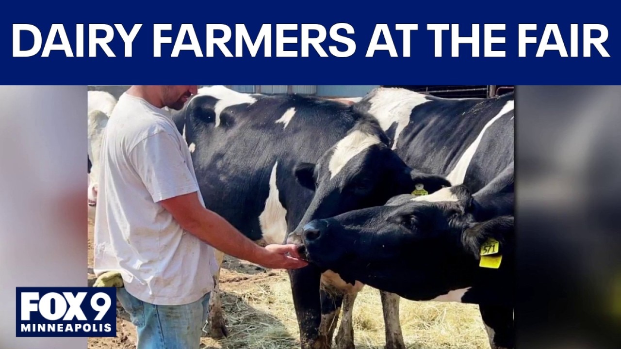 State Fair: Dairy farmers at staple of Minnesota