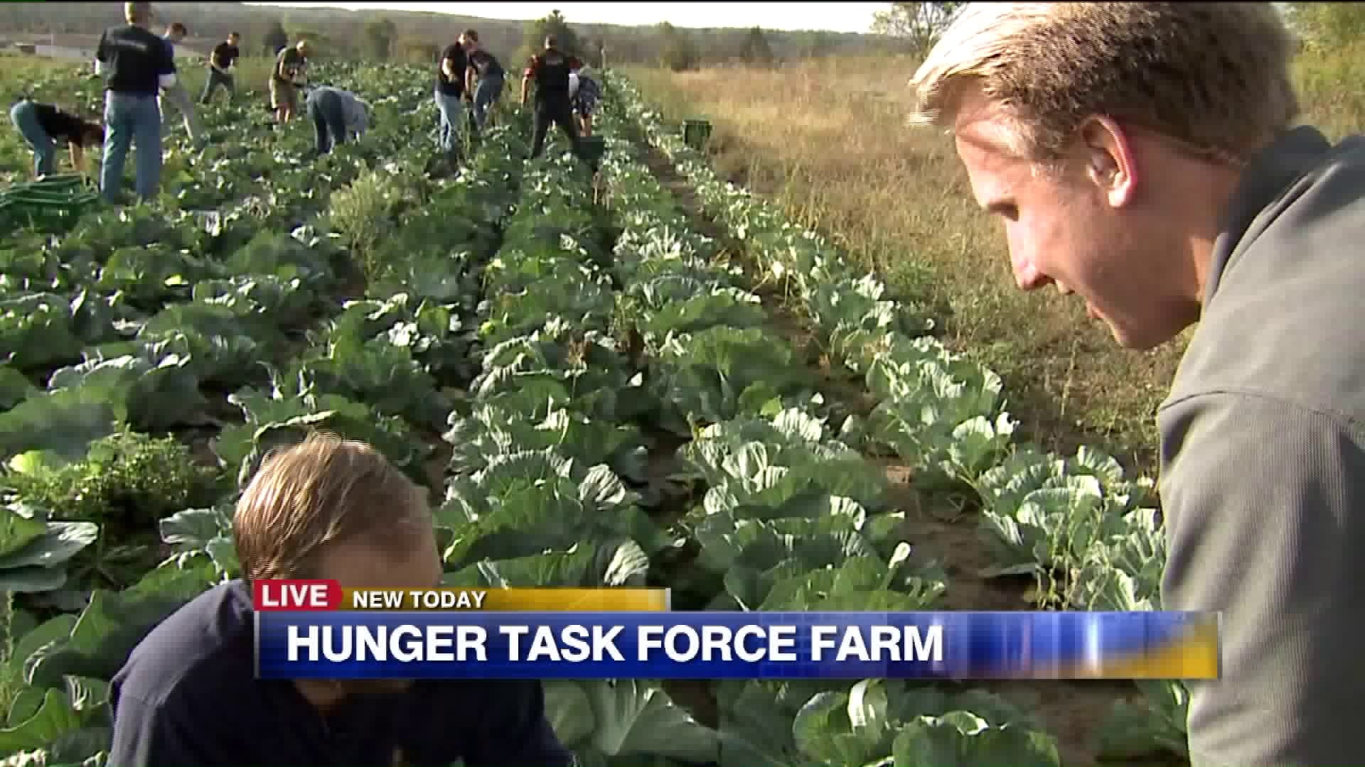 A look at the cabbage patch