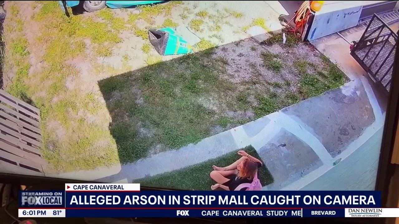 Woman accused of setting artwork on fire behind strip mall