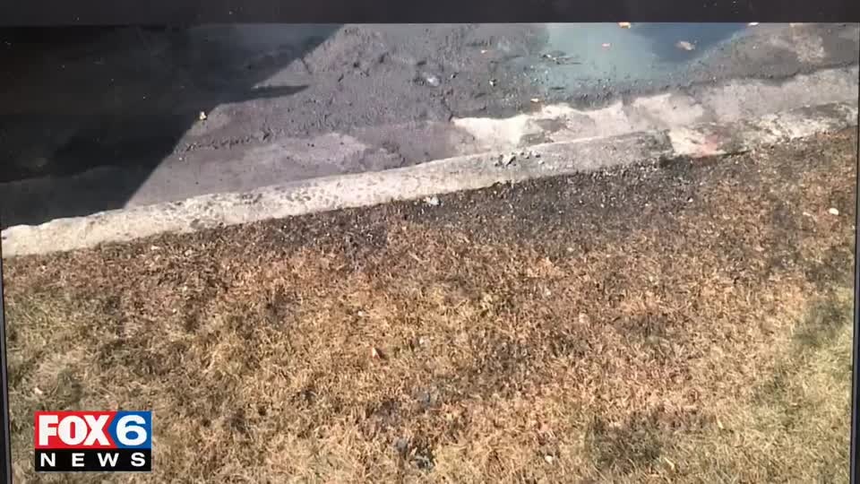 Fire and fatality in Greendale