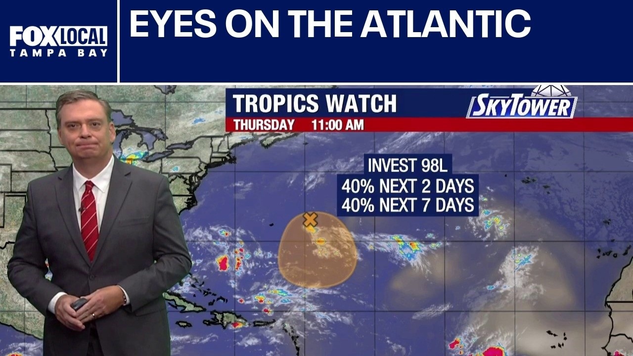 Eyes on the Atlantic