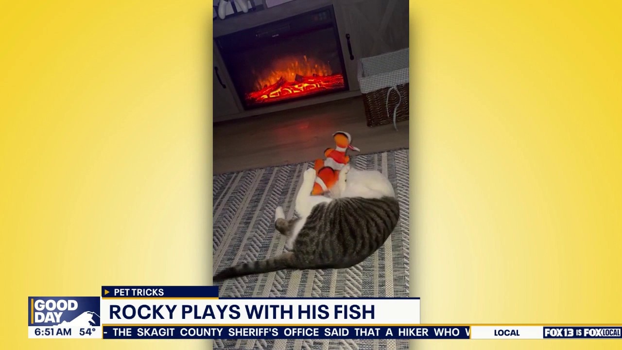 Good Day Pet Tricks from Monday, Sept. 21