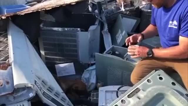 Dog rescued from Dorian rubble