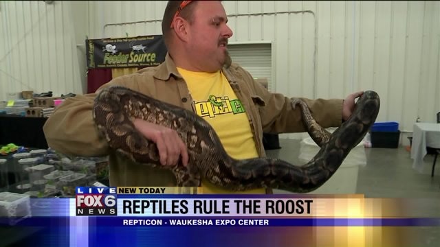 FOX6's Julie Collins gets up close and personal with snake, tarantula and more at "Repticon"