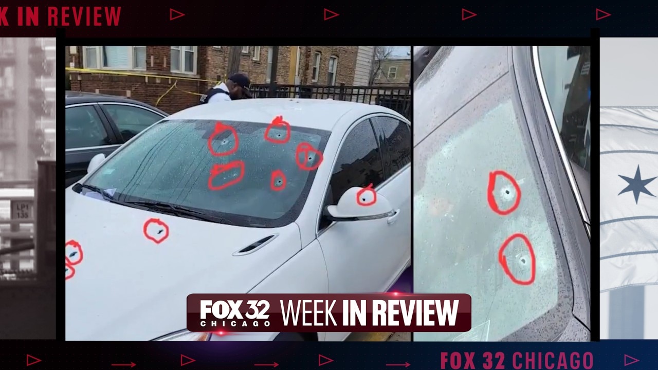 Beluga whale deaths, 'horrifying' school conditions and Illinois' heaviest pumpkin | Week in Review