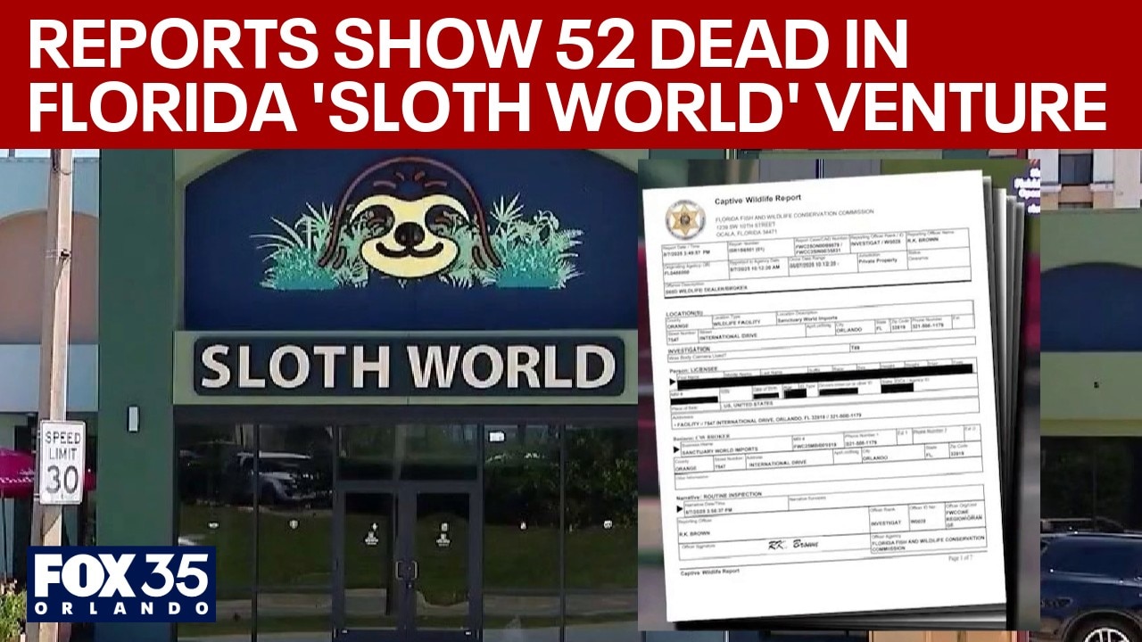 52 sloths die in Orlando Sloth World investigation, reports say