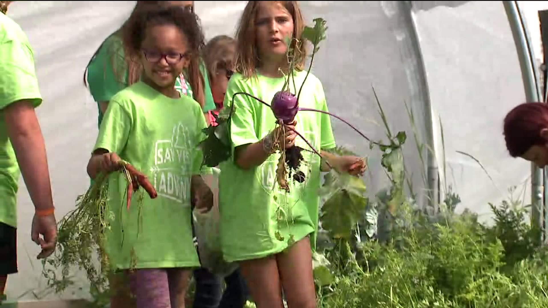 Growing food