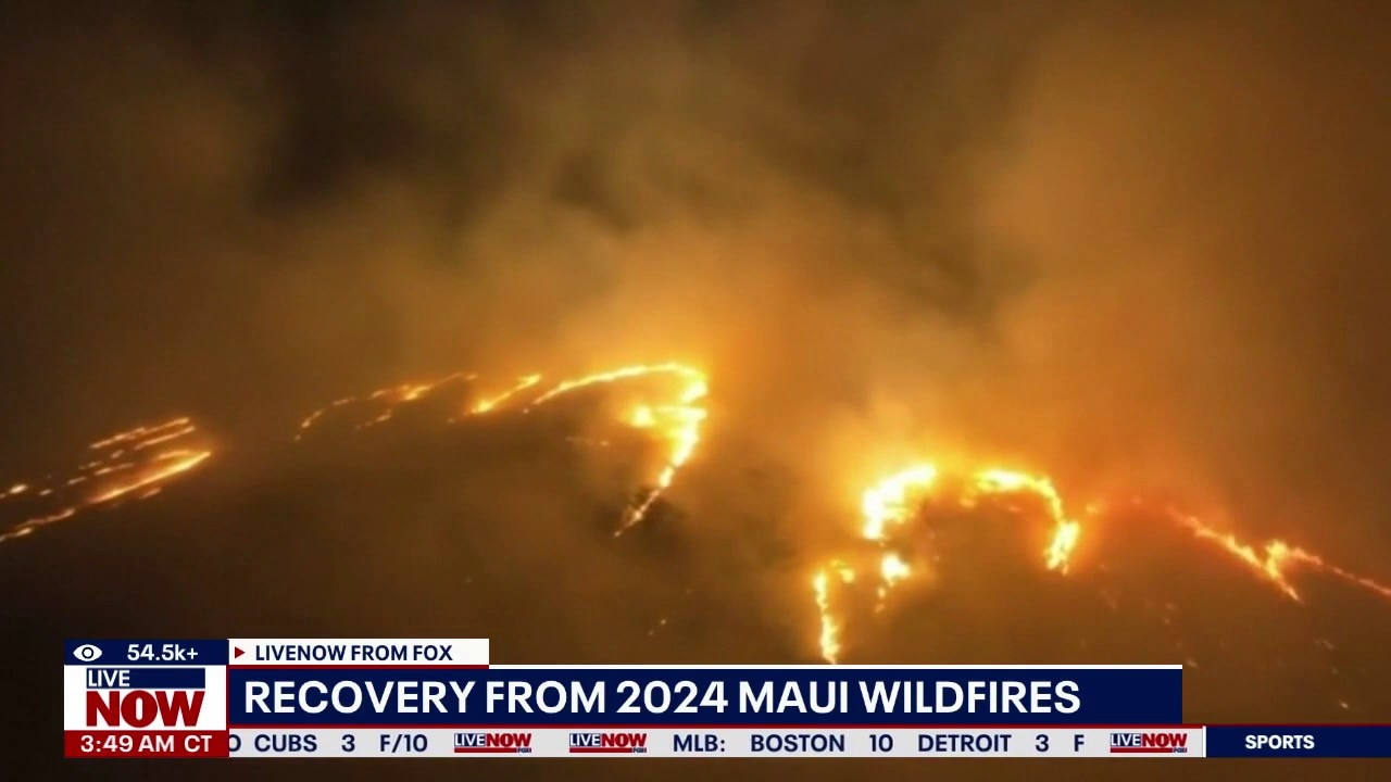 Hawai'i representative on floods and wildfires