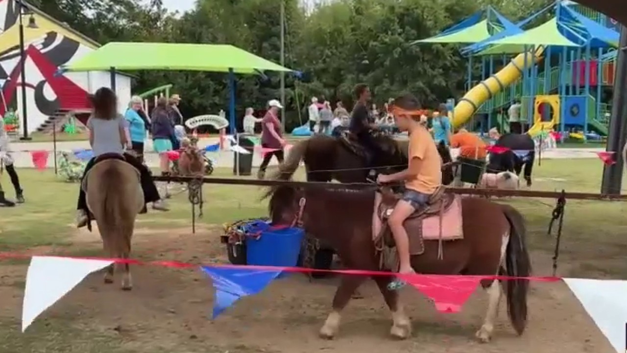 Mule Camp Market fall tradition returns to Gainesville