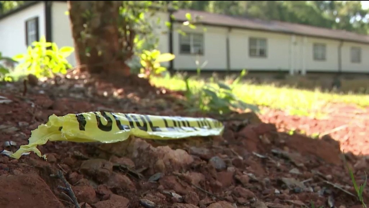 Boys killed at DeKalb aparts identified