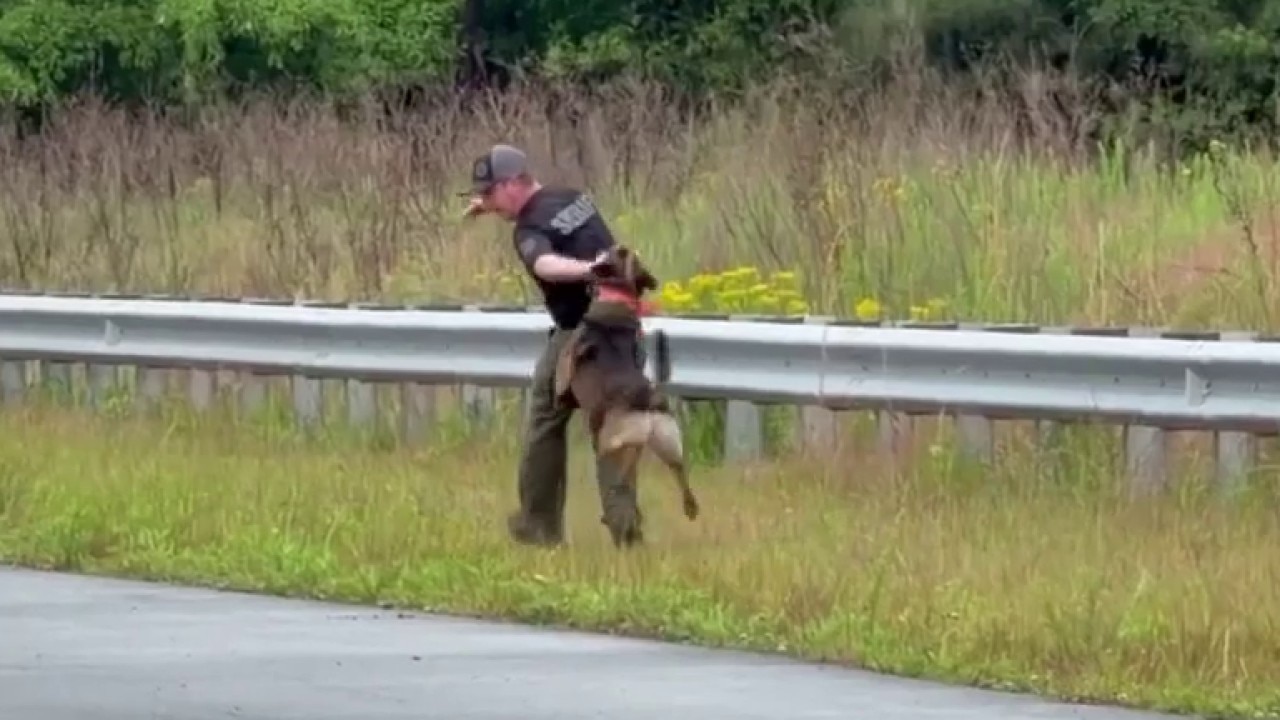 Alabama and Georgia K-9 teams gather for k9 training