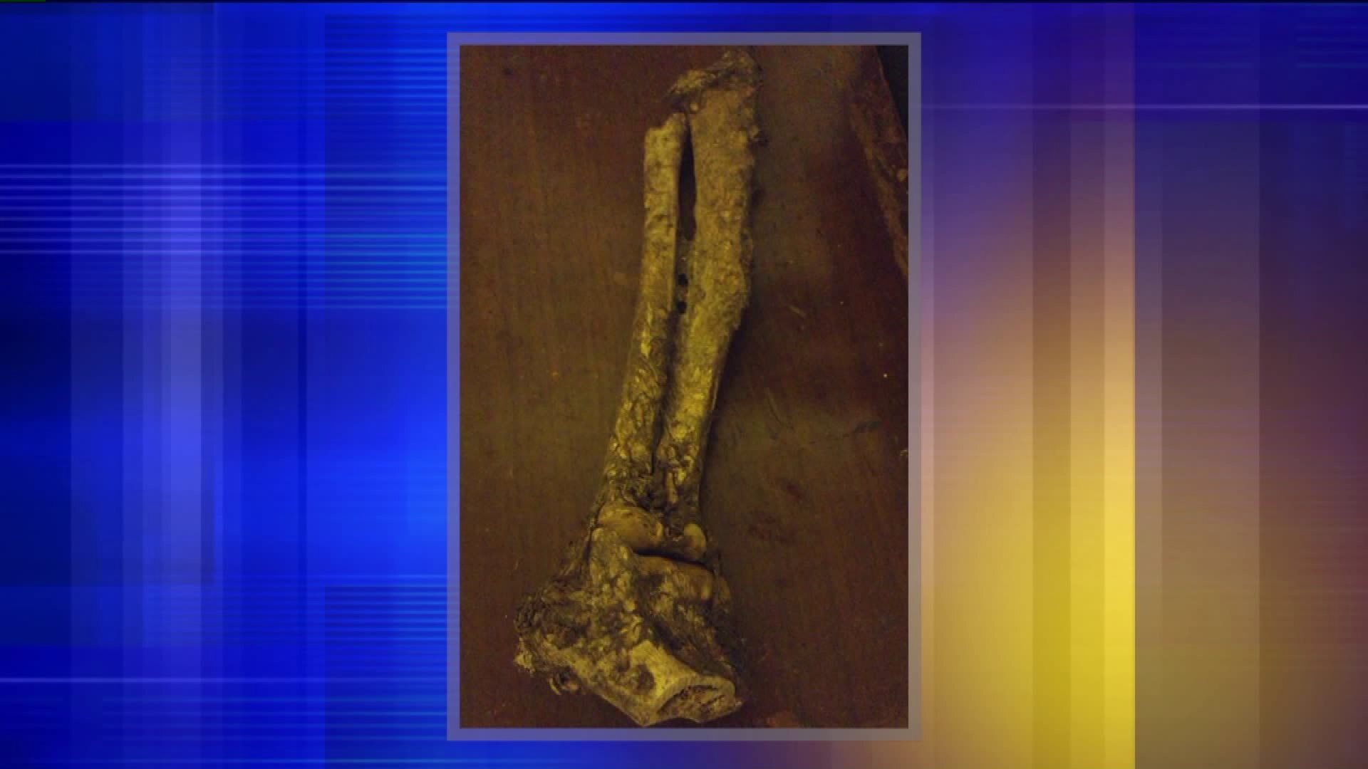 Bone found by boy, grandfather in Whitnall Park is NOT human