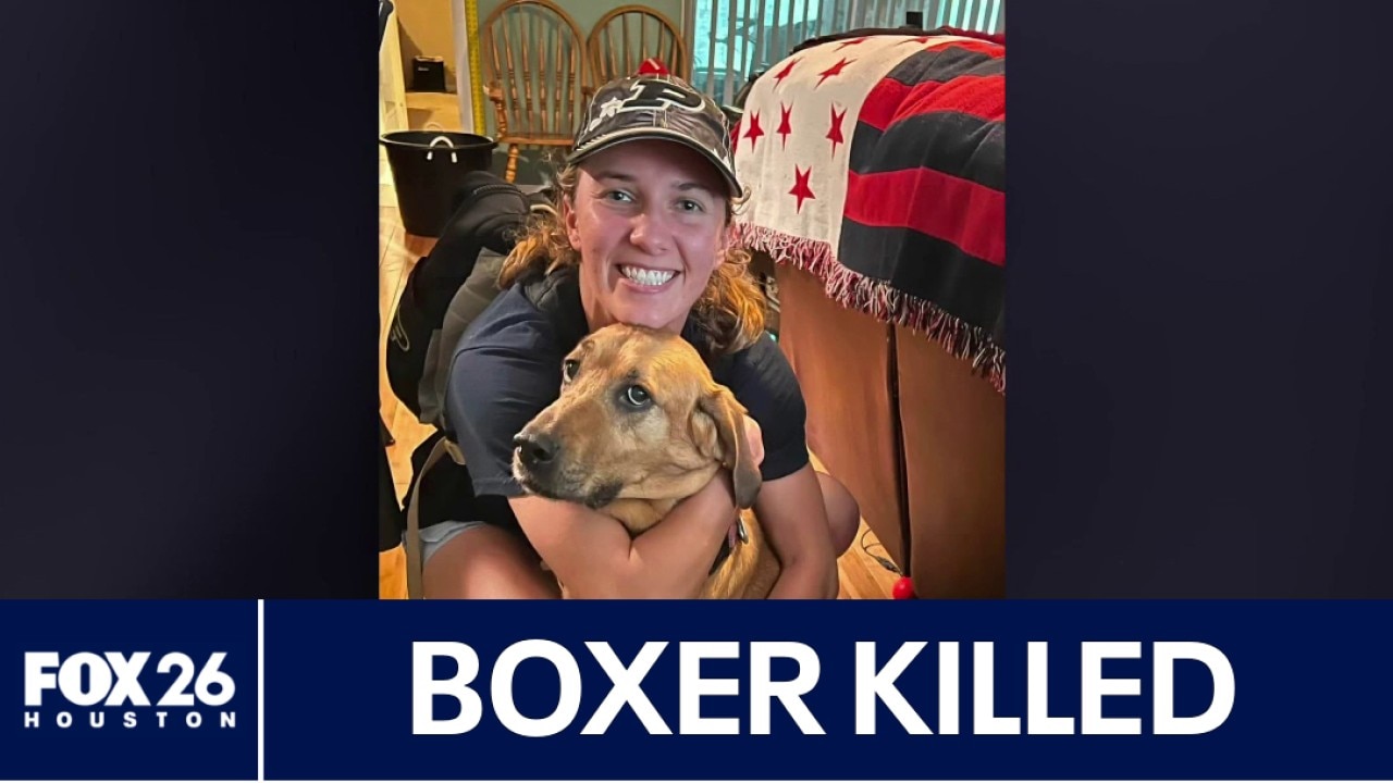 Young boxer killed while riding her bicycle