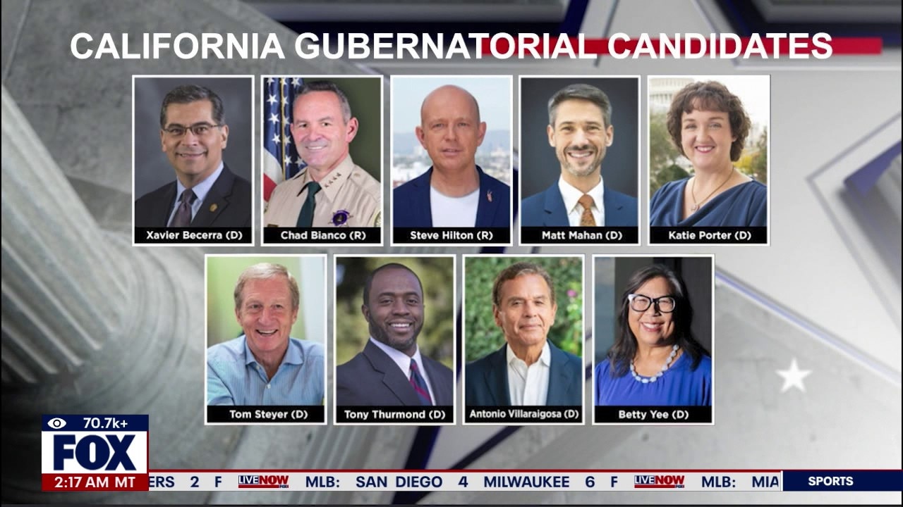 Race for California Governor: How the primary election works
