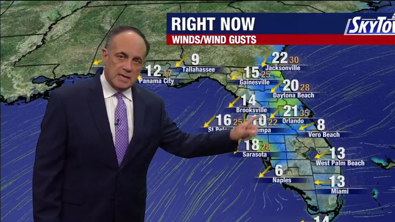 Tampa weather I Wednesday evening forecast