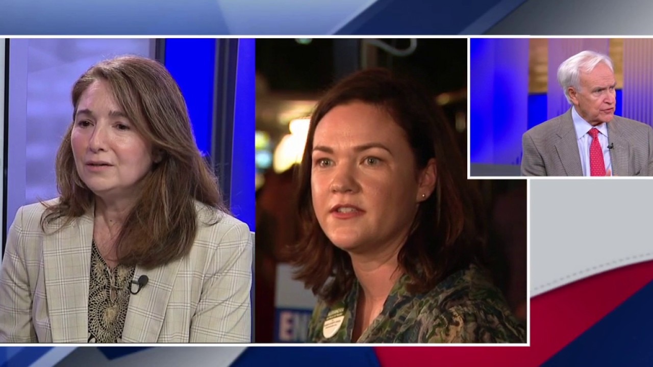 Tough race for new Texas CD-9 | What's Your Point?