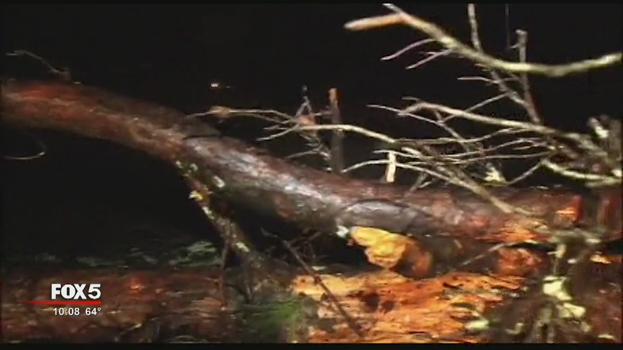 Wednesday Storm Damage