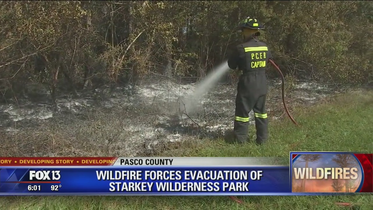 Pasco wild fire