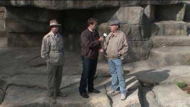 Chip learns about zoo animals