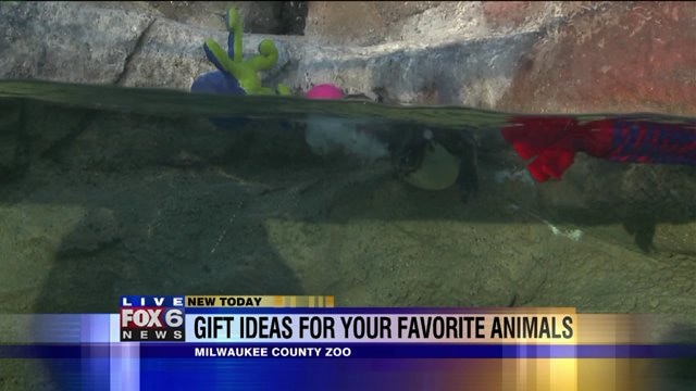 What type of gifts can you give?