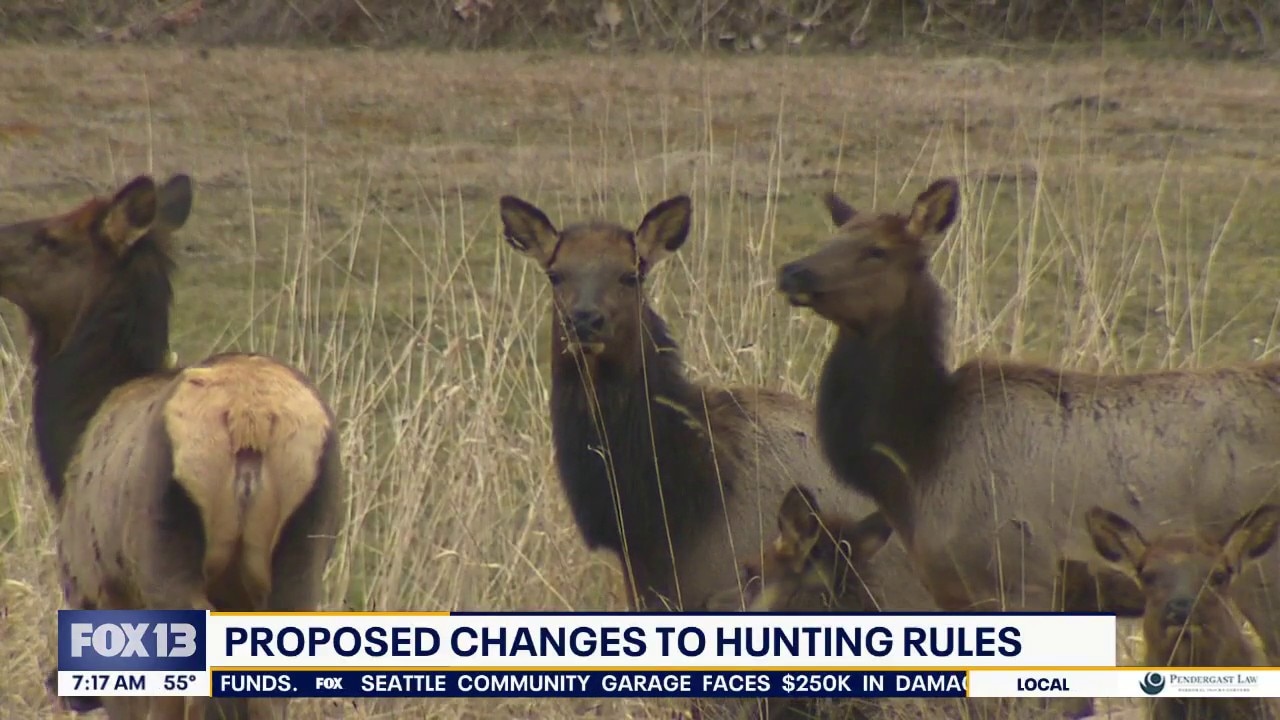 Proposed changes to WA hunting rules
