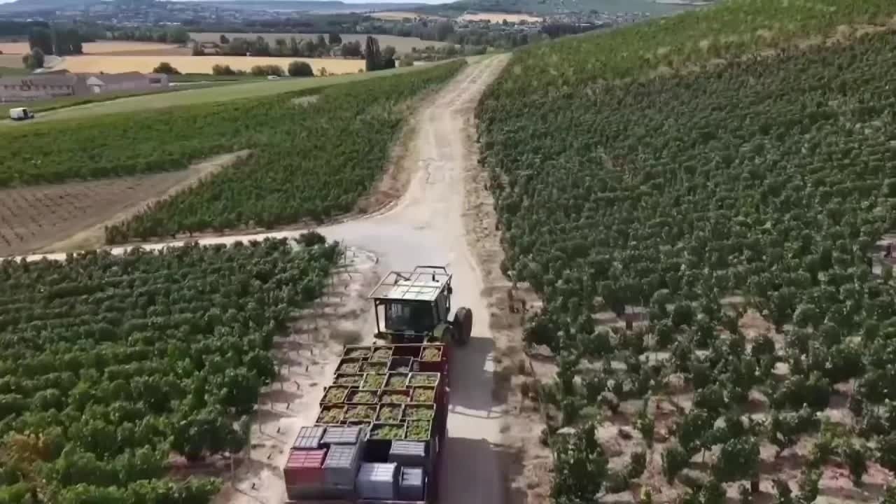 Farmers warn of 'catastrophic harvests' amid Europe drought