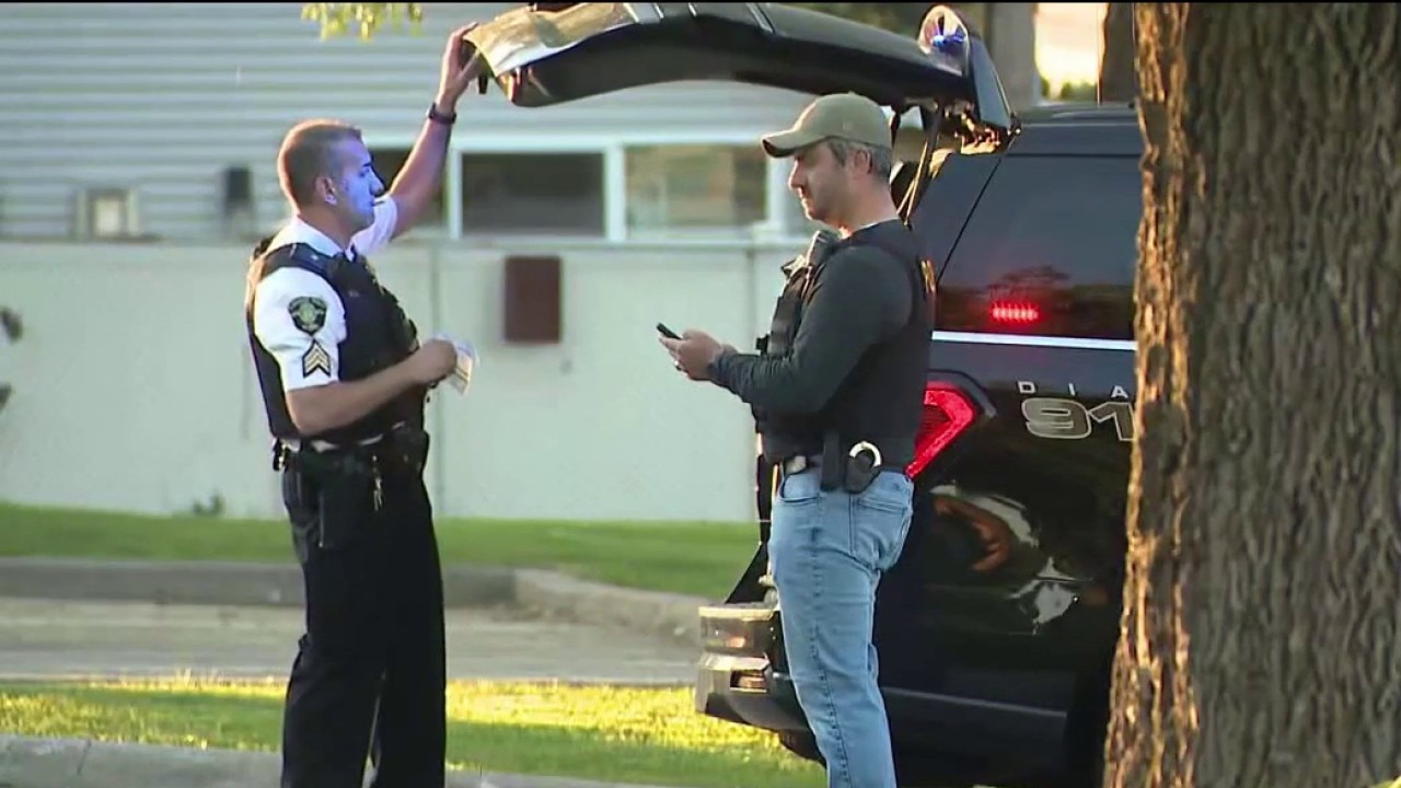 Elmhurst police search for catalytic converter theft suspect after I-290 chase