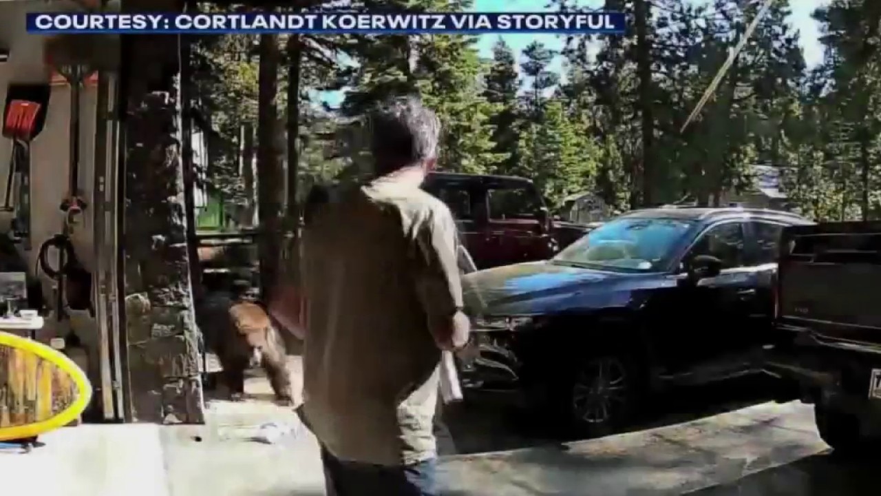 VIDEO: Lake Tahoe bear charges at man outside cabin