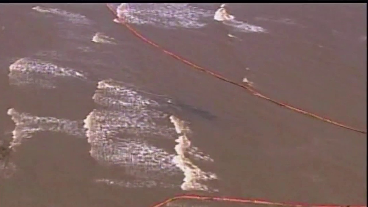 Marine life dramatically declined after BP oil spill