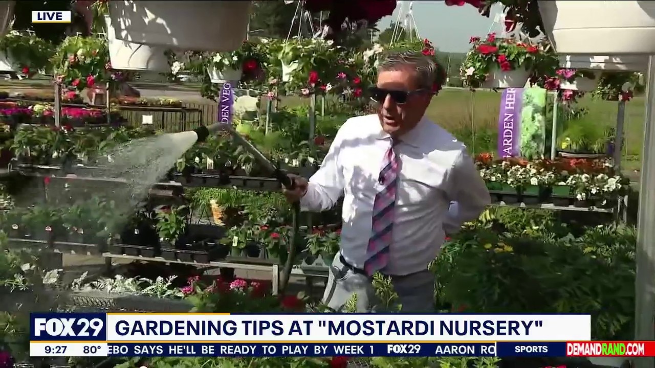 Get Your Garden Going