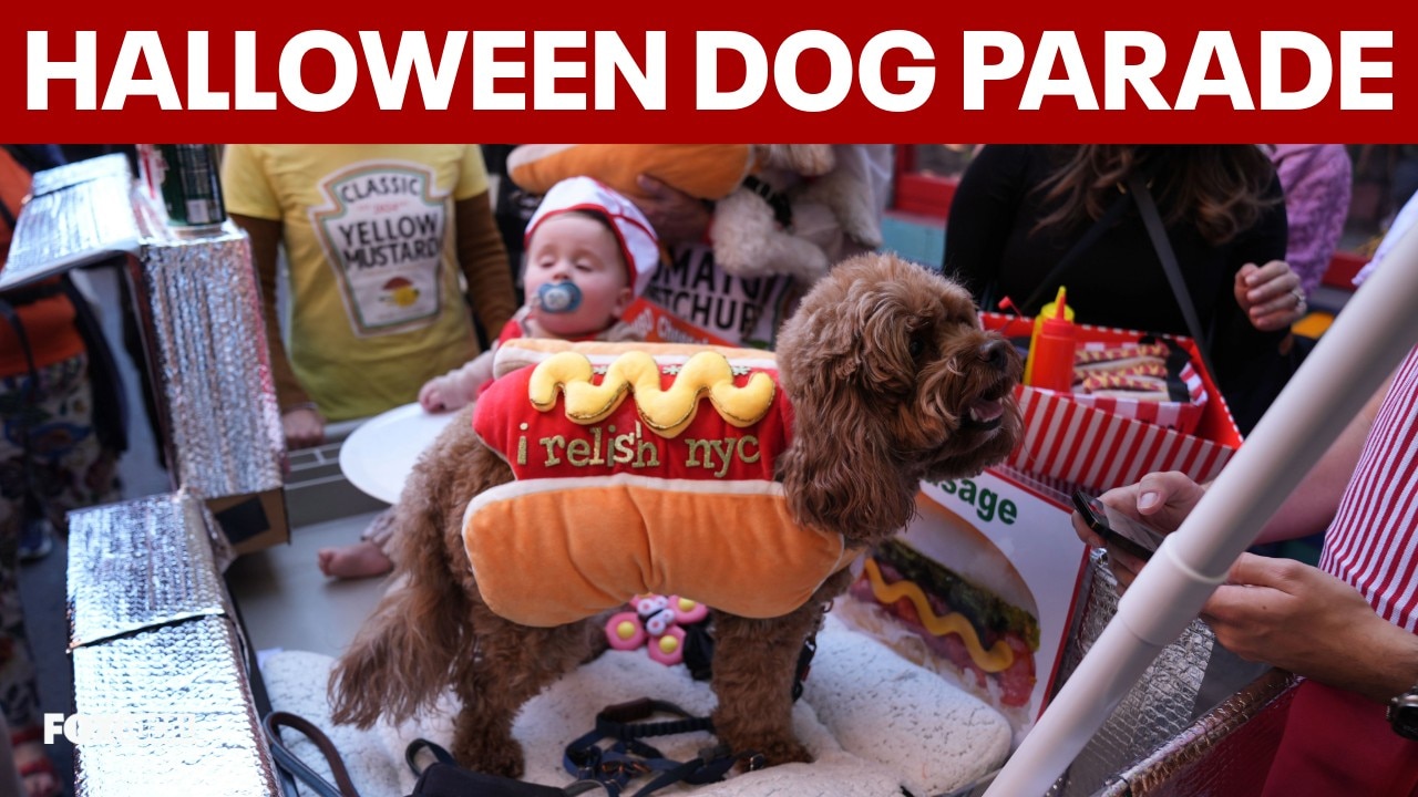 36th annual Tompkins Square Halloween dog parade takes over East Village