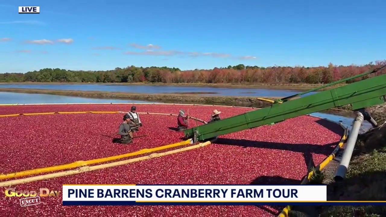 Good Day Uncut: Pine Barrens Cranberry Farm Tour