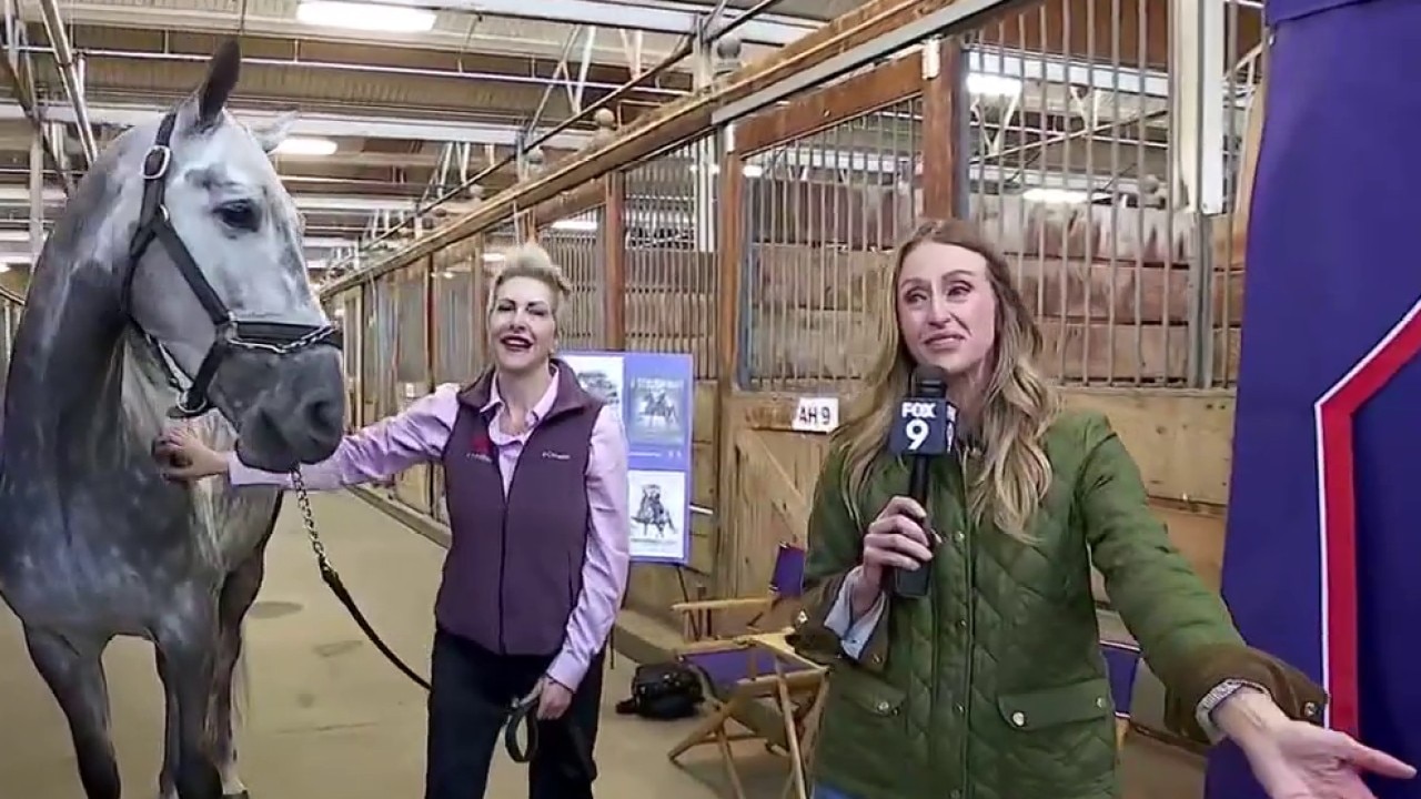 FOX 9 Morning News: April 24,2026