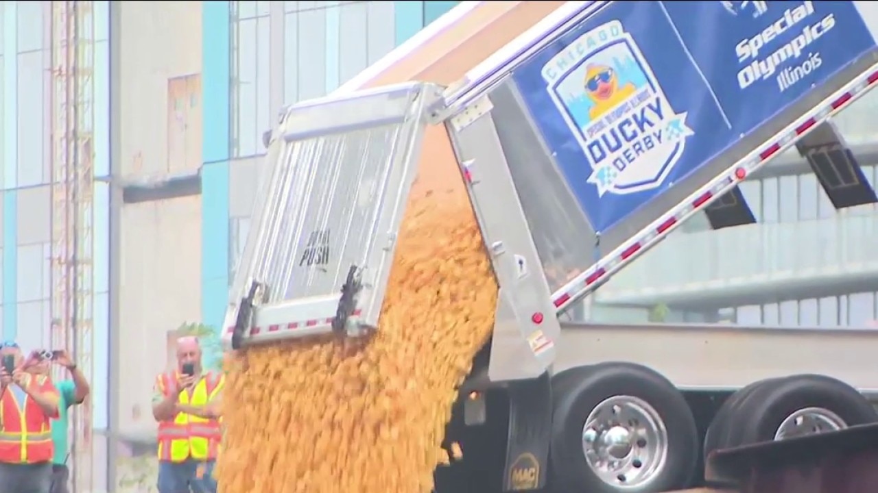 Chicago Ducky Derby: 85,000 rubber ducks race for charity