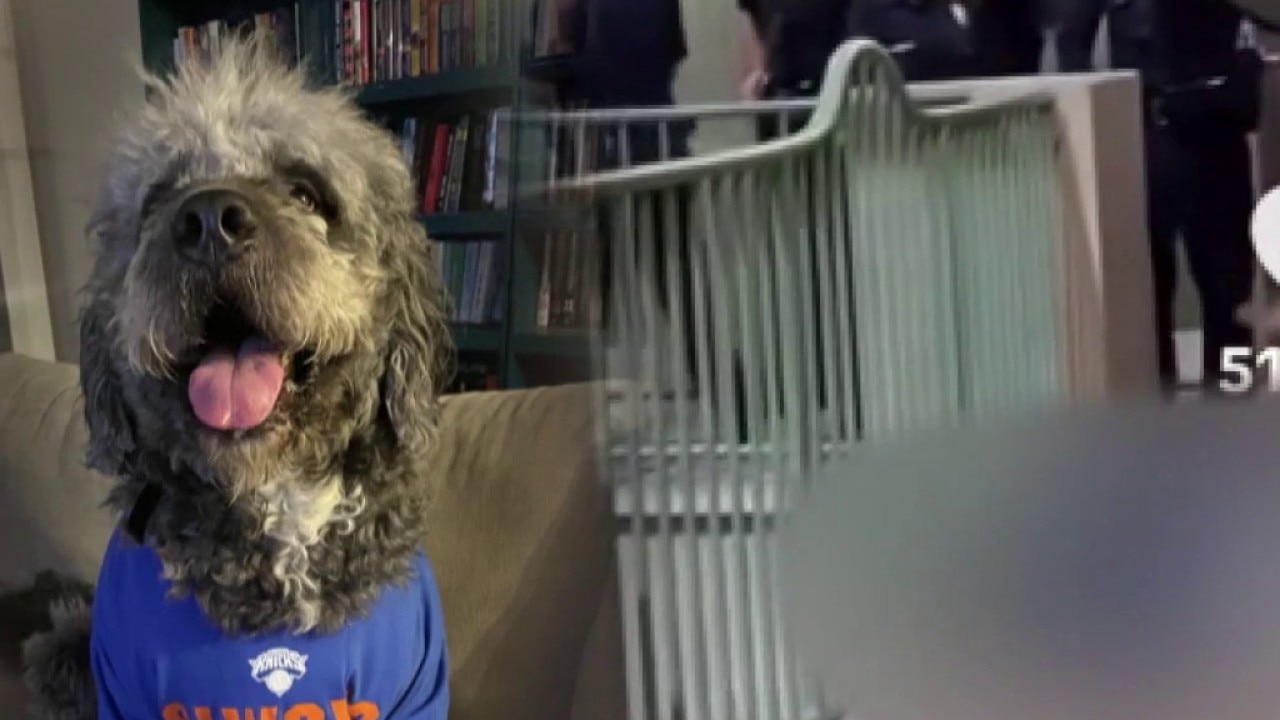 Owner of dog shot by LAPD sues city, officers