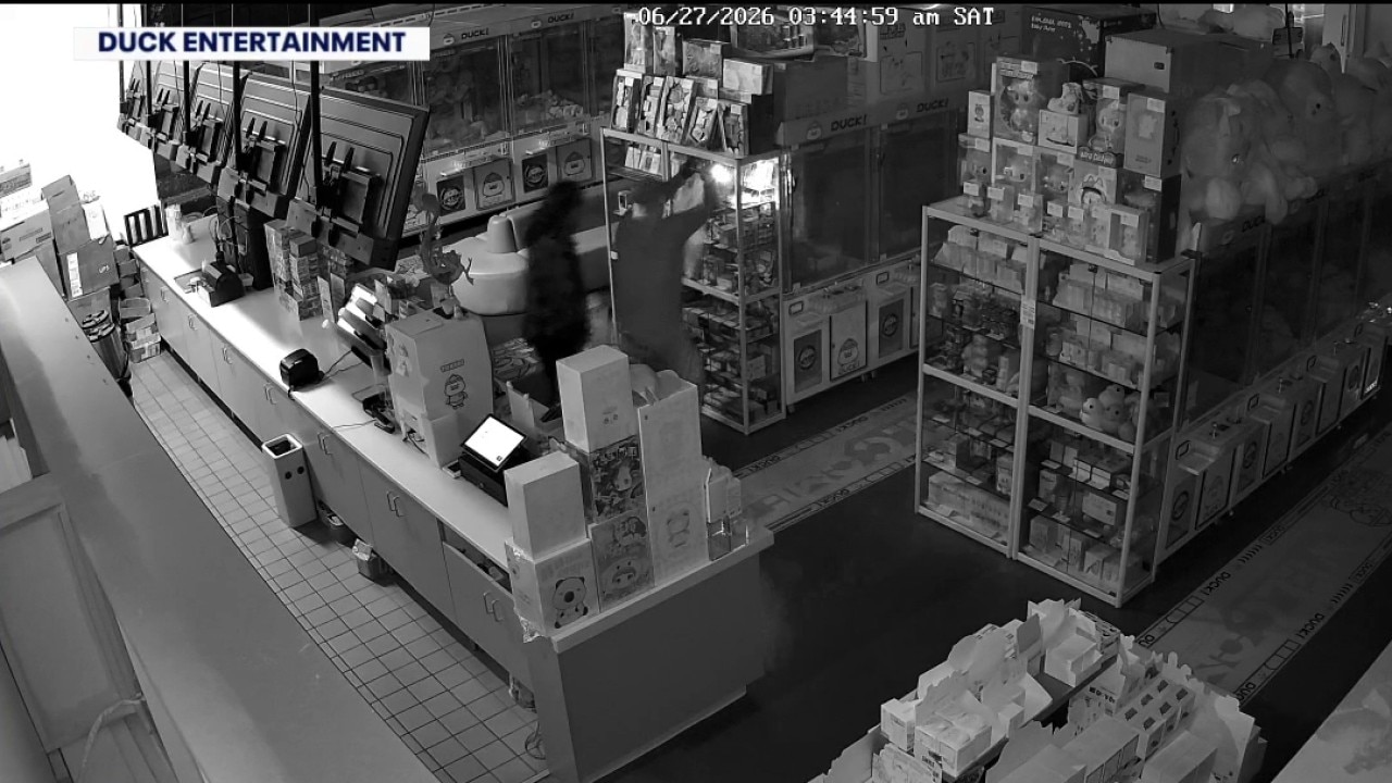 Multiple Twin Cities trading card stores targeted by thieves
