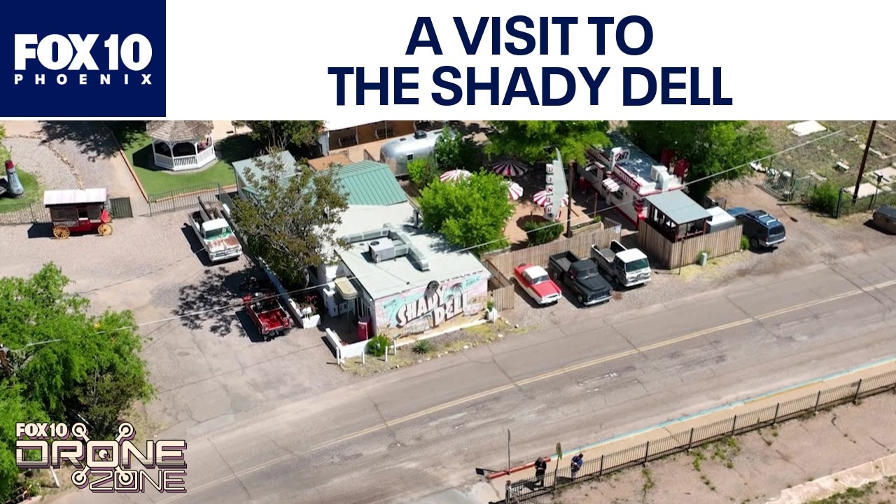 The Shady Dell | Drone Zone