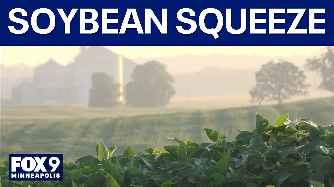 Soybean farmers feeling output squeeze