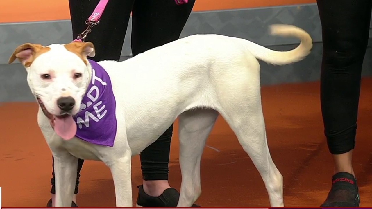 Pet of the day: Julia