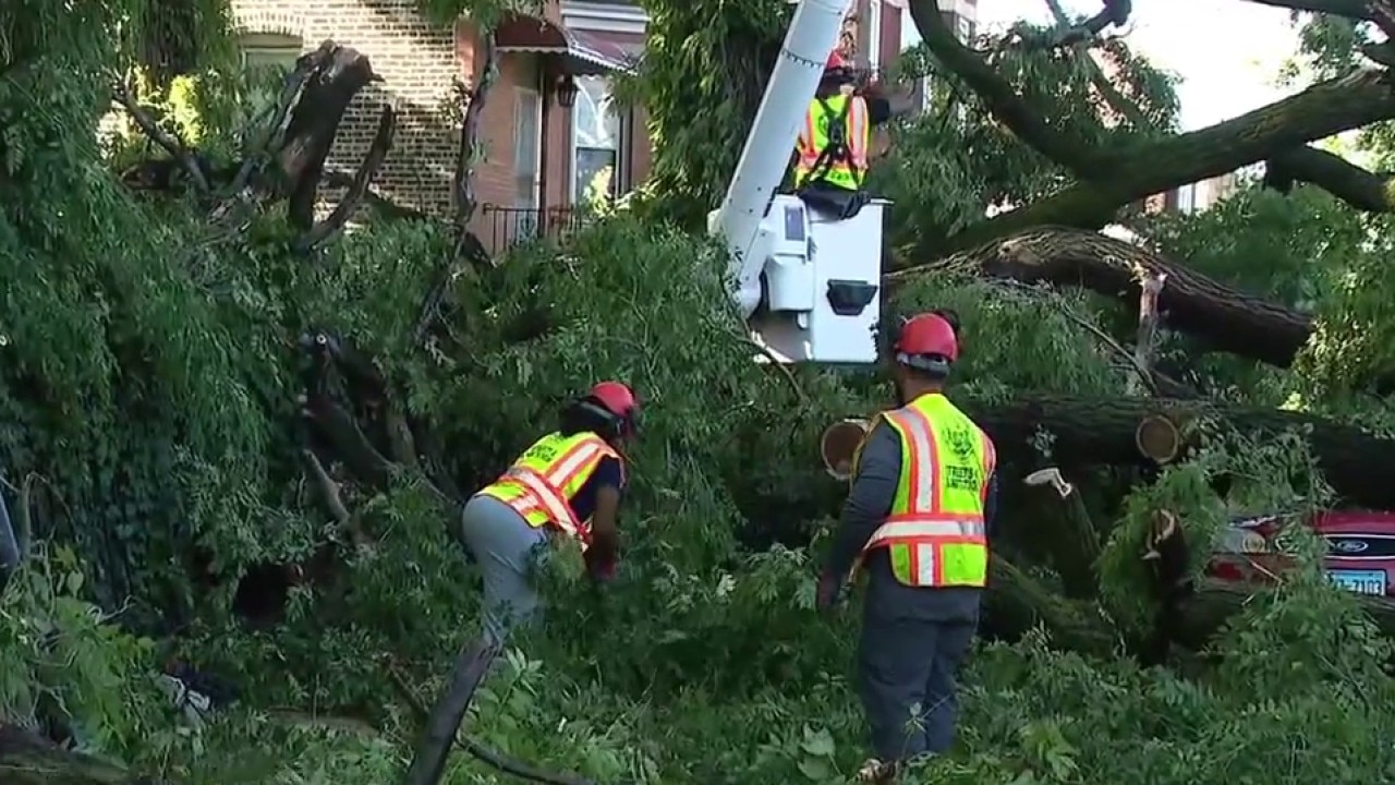 Cleanup underway across Chicago after Wednesday's severe storms