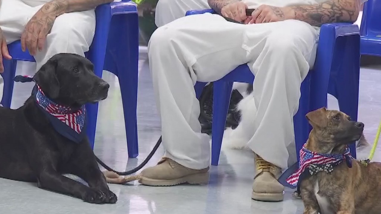 Dogs, inmates getting second chance with PAWS