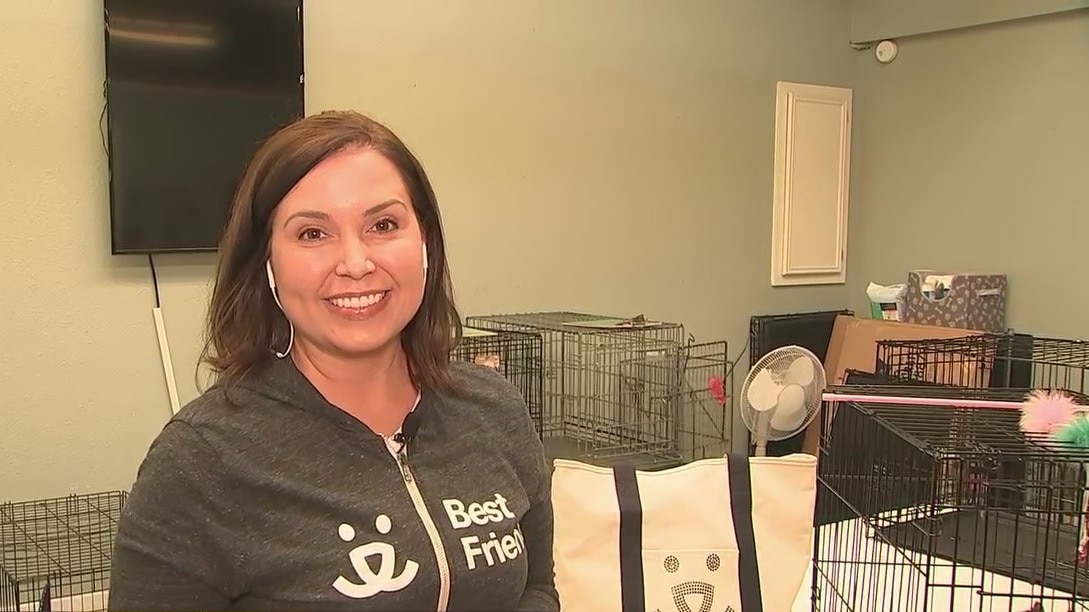Best Friends foster pet camp